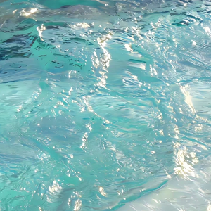 我爱亚洲性爱 舔B
